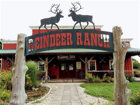 Hardy's reindeer ranch - Hardy's Reindeer Ranch plays host to visitors from all across the nation and many countries. The rebuilt and restored 100 year old barns and 5,000 Christmas trees combine to form a beautiful setting for families, individuals and groups to get away from the ordinary and hurried pace of city life. 